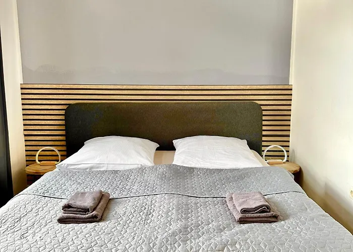 Apartment Geraeumiges City-apartment Mit 2 Badezimmer Und Parkplaetzen D46-og *